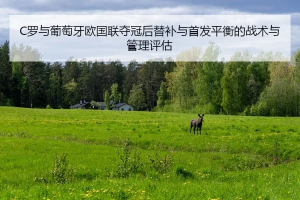 C罗与葡萄牙欧国联夺冠后替补与首发平衡的战术与管理评估