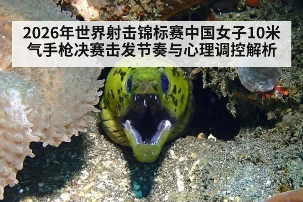 2026年世界射击锦标赛中国女子10米气手枪决赛击发节奏与心理调控解析